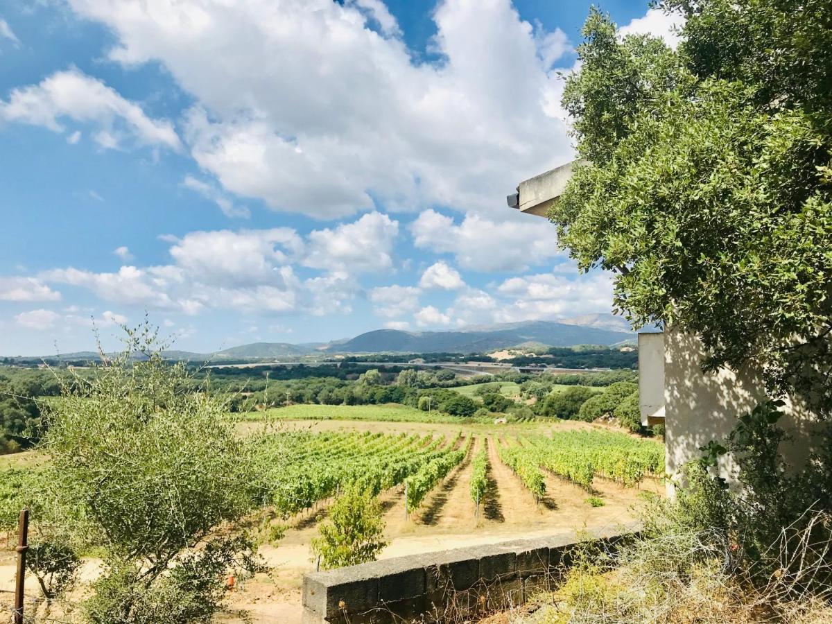 Elegant Country Open Space Deluxe Tenuta Piredu -Monti-Olbia Exterior photo
